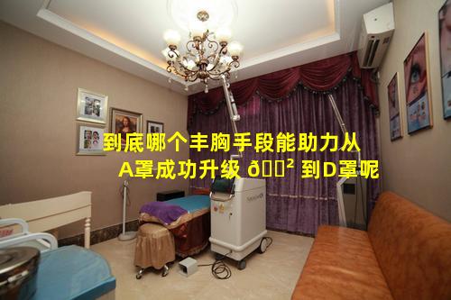 到底哪个丰胸手段能助力从A罩成功升级 🌲 到D罩呢